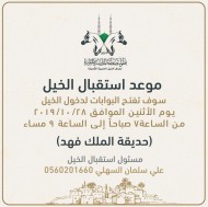 استقبال الخيول المشاركة في بطولة المدينة المنورة 2019 ابتدءا من اليوم