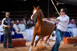 مزاد مربط عذبه يلامس المليوني ريال