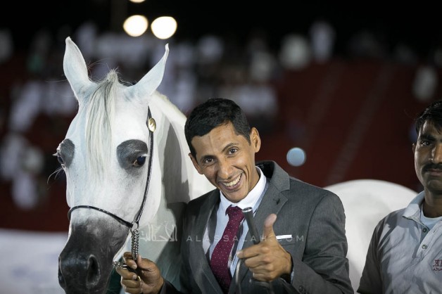 النتائج النهائية بالصور لبطولة المدينة المنورة لجمال الخيل العربية 2019