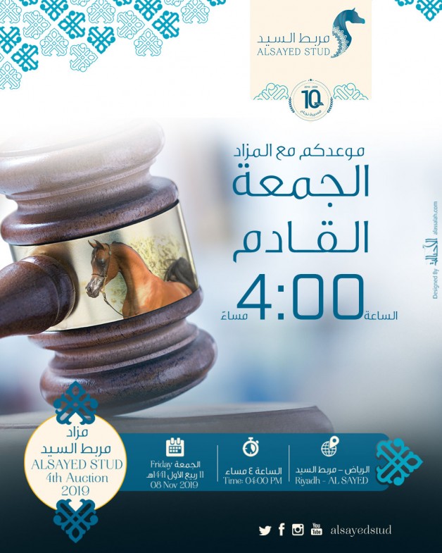 مزاد مربط السيد الرابع للخيل العربية يوم الجمعة القادم – قائمة الخيل المعروضة
