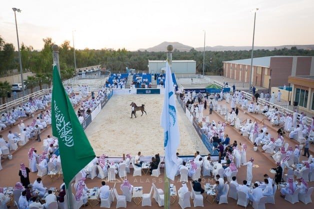 بطراز عالمي وفريد مزاد مربط السيد الرابع ينجح بتحقيق 2.2 مليون ريال 