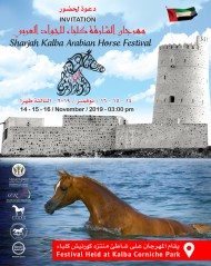 برعاية سمو الشيخ الدكتور سلطان بن محمد القاسمي تنطلق بطولة كلباء لجمال الخيل يوم الخميس المقبل