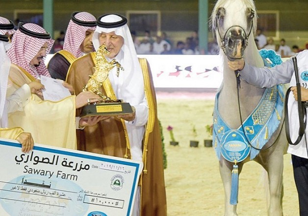 خيول الخالدية تحصد نصف الألقاب الذهبية في بطولة مكة المكرمة ٢٠١٩