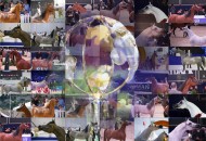 أبرز المرشحين لألقاب كاس العالم باريس 2019 بالصور .. ماهي اختياراتك؟