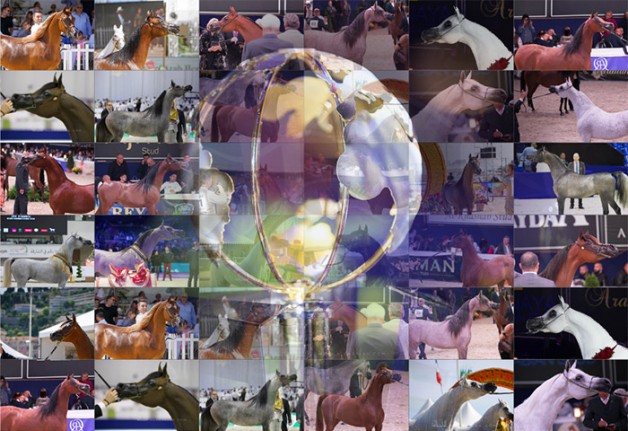 أبرز المرشحين لألقاب كاس العالم باريس 2019 بالصور .. ماهي اختياراتك؟