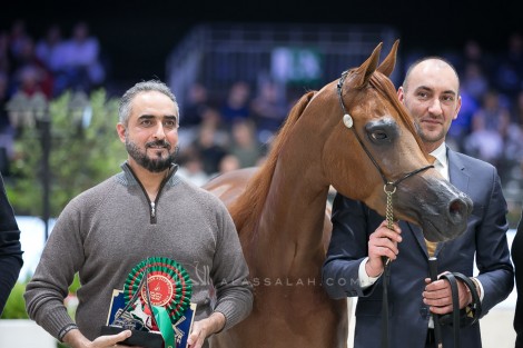 نتائج  اليوم الأول من بطولة العالم باريس 2019 لجمال الخيل