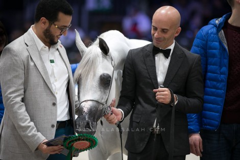 صور مقتطفة من اليوم الأول من بطولة كأس العالم باريس ٢٠١٩ – عدسة الأصالة