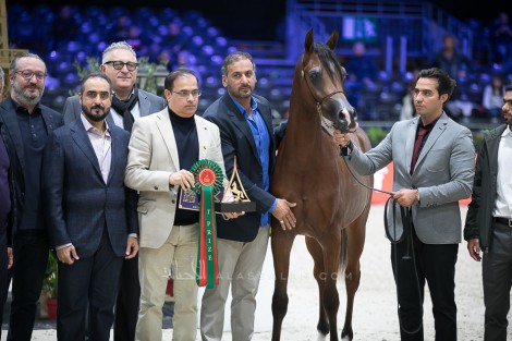 نتائج اليوم الثاني لبطولة العالم باريس 2019 لجمال الخيل العربية
