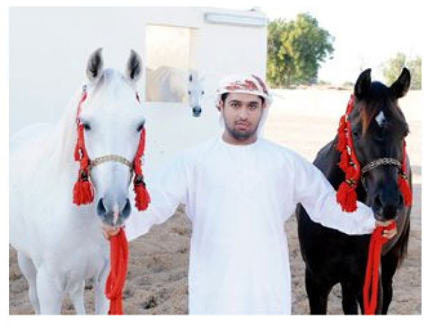 محمد المطروشي: الإنتاج المحلي من الخيول العربية الأصيلة حقق نقلة نوعية كبيرة في السنوات الأخيرة