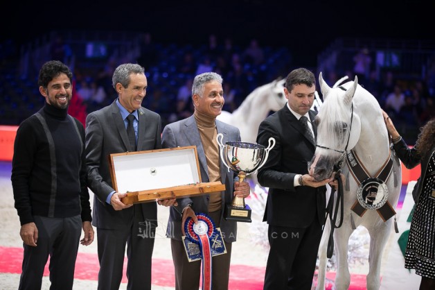 «شنغهاي» لمربط عجمان يظفر بفضية العالم ٢٠١٩ للفحول