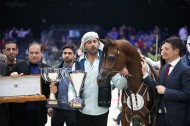 مربط دبي الأفضل في بطولة العالم 2019 لجمال الخيل العربية