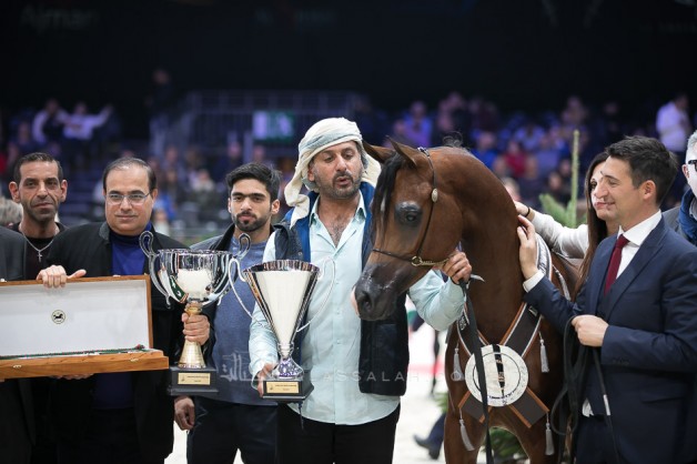 مربط دبي الأفضل في بطولة العالم 2019 لجمال الخيل العربية