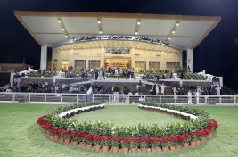 كأس رئيس الإمارات للخيول العربية بميدان الأمير سلطان يوم الخميس