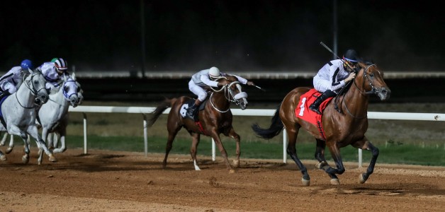 “صخر الخالدية” يتوج بكأس رئيس الإمارات للخيول العربية بالرياض