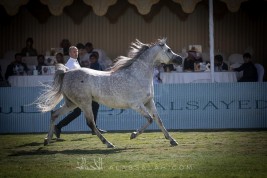 برنامج بطولة مركز الملك عبدالعزيز الدولية الرابعة 2019
