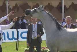 نتائج اليوم الأول لبطولة مركز الملك عبدالعزيز الدولية الرابعة 2019