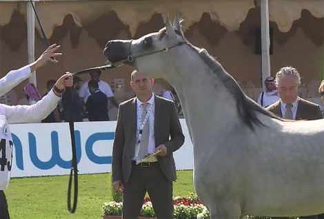 نتائج اليوم الأول لبطولة مركز الملك عبدالعزيز الدولية الرابعة 2019