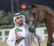 البداير يدعم بـ 6 شبوات من الفحل “مراج” للأفراس المتصدرة في بطولة الفجيرة