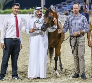 معدلات عالية من النقاط في مهرجان الشارقة للإنتاج المحلي .. والمركز التاسع عشر يحصل على٩٠ نقطة !