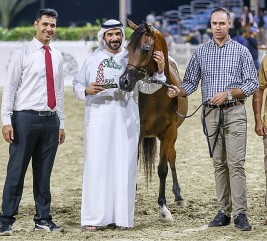 معدلات عالية من النقاط في مهرجان الشارقة للإنتاج المحلي .. والمركز التاسع عشر  يحصل على٩٠ نقطة !