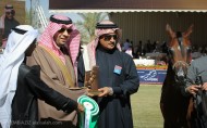 فيصل بن خالد: مهرجان الخالدية محط أنظار محبي الجواد العربي