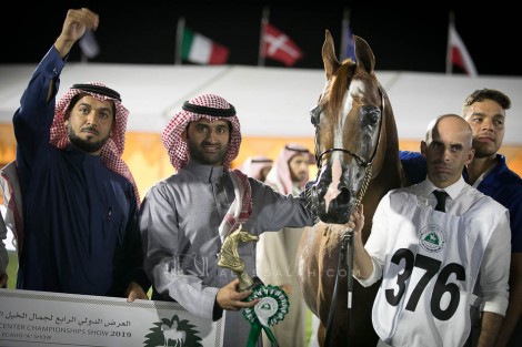 نتائج اليوم الثالث لبطولة مركز الملك عبدالعزيز الدولية الرابعة 2019 للخيل العربية