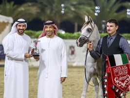 النتائج النهائية لمهرجان الشارقة للجواد العربي – الإنتاج المحلي
