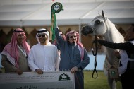 النتائج النهائية بالصور لبطولة مركز الملك عبدالعزيز  2019 الدولية لجمال الخيل العربية