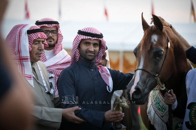 “ايدن سي” لمربط السيد يقصي بطل العالم ..! ويعتلي بذهب الفحول في بطولة مركز الملك عبدالعزيز 2019 الدولية للخيل العربية