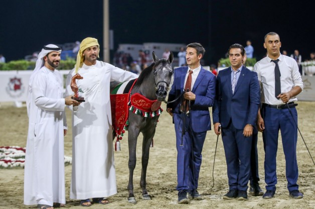 «دبي» يحقق فضيتان في مهرجان الشارقة 2019 – الإنتاج المحلي