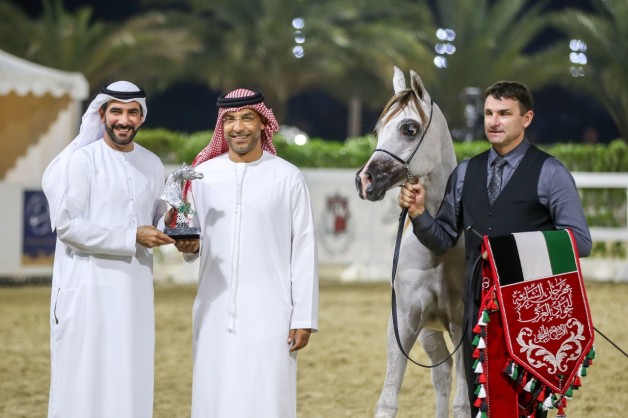 خيول «عجمان» تخطف الأضواء وتحقق ذهبيتين وفضيتين ببطولة الشارقة ٢٠١٩ للإنتاج المحلي