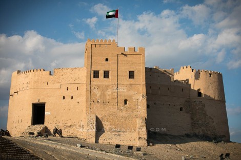 صور مقتطفة من بطولة الفجيرة 2019 لجمال الخيل العربية الأصيلة