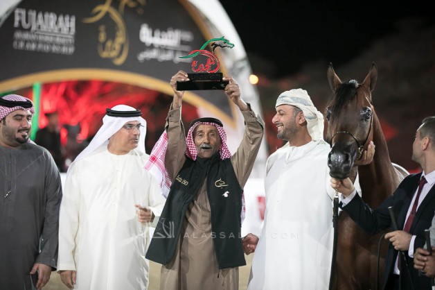 صور مقتطفة من اليوم الختامي من بطولة الفجيرة ٢٠١٩ للخيل العربية