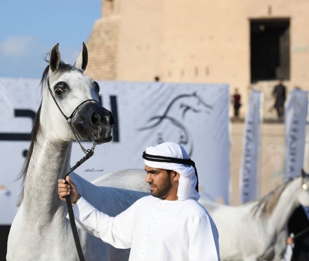 أحمد اليماحي: ثقة الملاك ضعيفة في العارض العربي! والشيخ زايد بن حمد هو من شجعني للظهور بهذا الزي!
