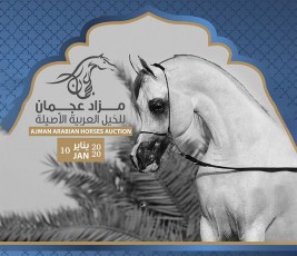 قائمة خيل مزاد عجمان 2020 للخيول العربية