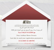 غدا الثلاثاء اخر يوم لسداد رسوم التسجيل في بطولة جمال الخيل بمهرجان الأمير سلطان 2020