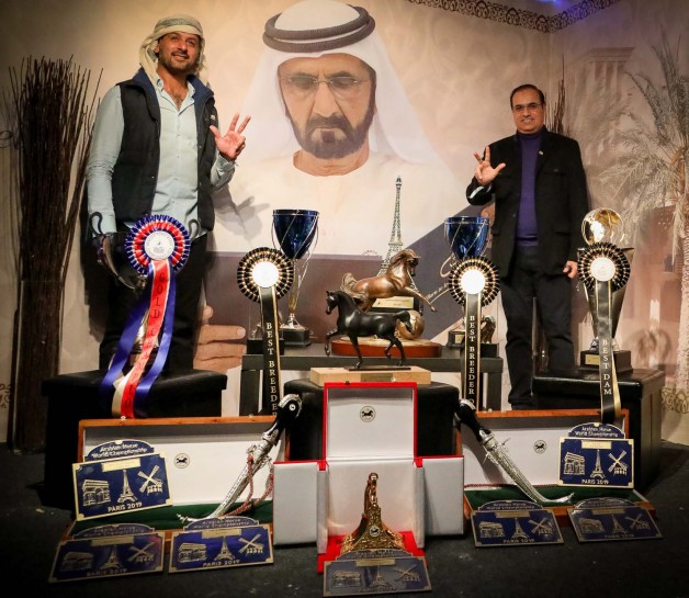 مربط دبي يزين العام 2019 بأمجاد ذهبية