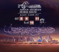 النسخة الـ 18 لبطولة عجمان لجمال الخيول العربية ٢٠٢٠
