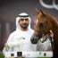 Arjuwan earns silver Yearling Colts medal for Al Bidayer Stud in 2020 Ajman Arabian Horse Show