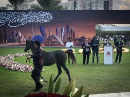  مزاد عجمان 2020 يحقق أكثر من 4 ميلون درهم