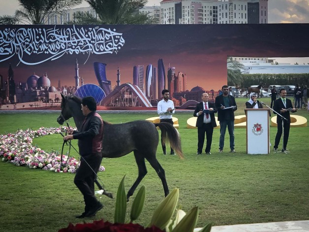  مزاد عجمان 2020 يحقق أكثر من 4 ميلون درهم