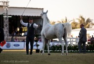 ختام «الخالدية»… وترقب لمهرجان الأمير سلطان بن عبدالعزيز العام المقبل