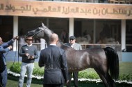 برنامج بطولة جمال الخيل بمهرجان الأمير سلطان بن عبدالعزيز العالمي 2020
