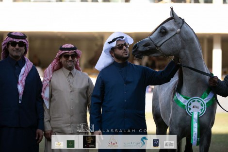 صور مقتطفة من اليوم الثاني من مهرجان الأمير سلطان العالمي 2020 لجمال الخيل العربية