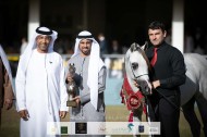    ذهبية وفضيتان ينتزعها «عجمان» في بطولة الأمير سلطان العالمية للجواد العربي 2020