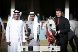    ذهبية وفضيتان ينتزعها «عجمان» في بطولة الأمير سلطان العالمية للجواد العربي 2020