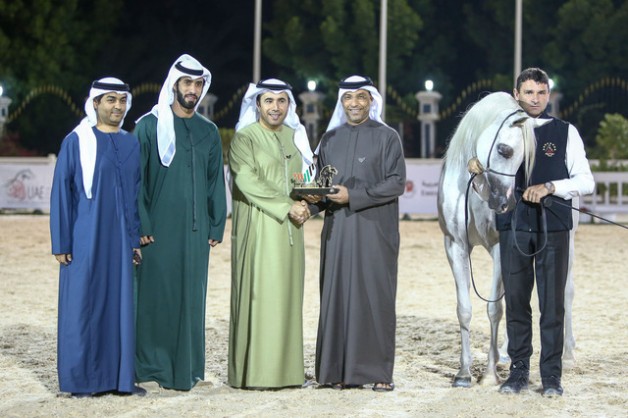 تألق وصداره لخيول «دبي» و «عجمان» في ثاني أيام “الإمارات الوطنية 2020” لجمال الخيول العربية