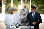 النتائج النهائية وصور لبطولة الإمارات الوطنية 2020 لجمال الخيل العربية 