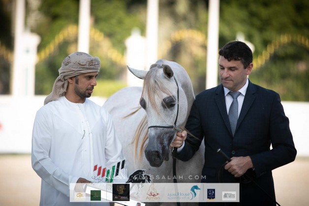 النتائج النهائية وصور لبطولة الإمارات الوطنية 2020 لجمال الخيل العربية