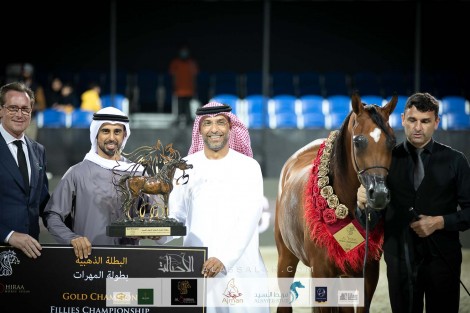النتائج النهائية بالصور لبطولة الشراع الدولية 2020 لجمال الخيل العربية